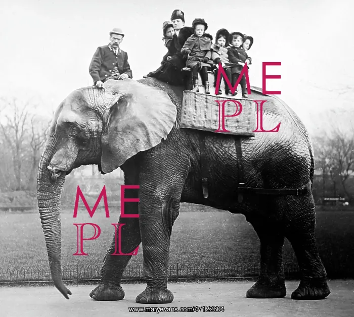  : Jumbo the elephant