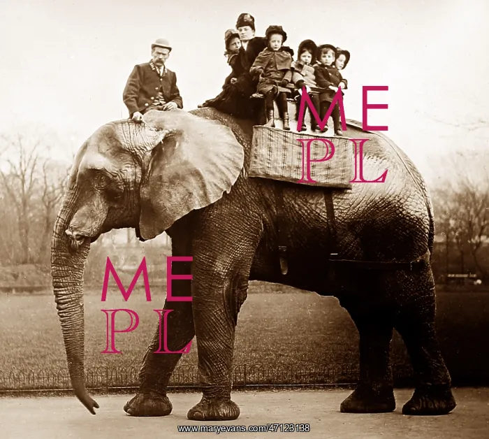  : Jumbo the elephant