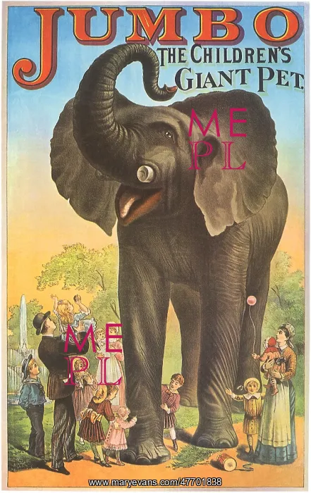  : Jumbo the Elephant