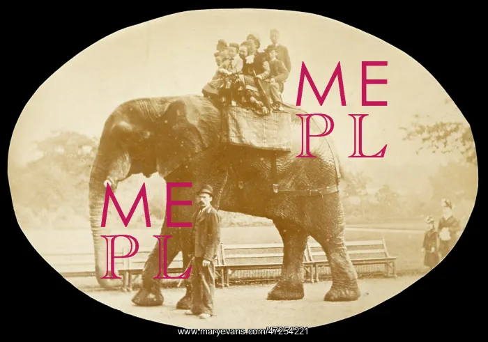  : JUMBO  /  PHOTO