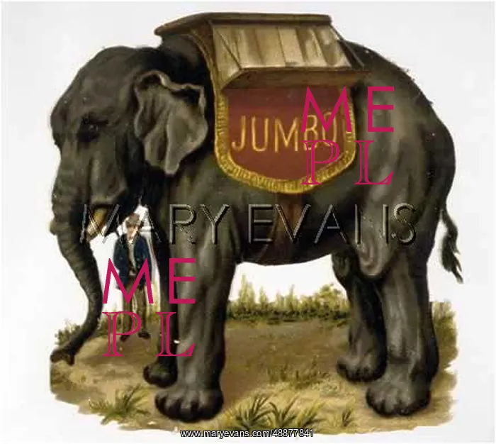  : JUMBO  /  SCRAP
