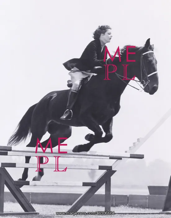 : Show jumping : Show jumping