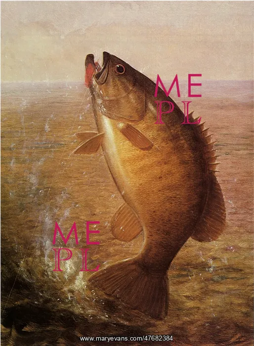  : Jumping Bass on Line