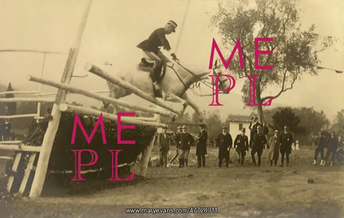  : Jumping Competition