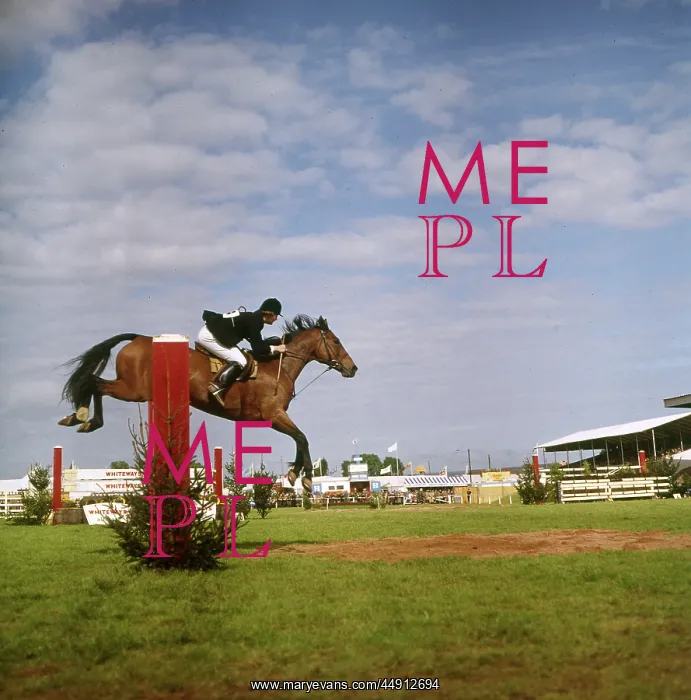 : Show jumping event, Devon County Show : Show jumping event, Devon County Show