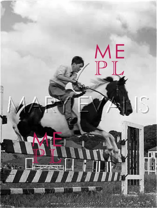 : SHOW JUMPING GYMKHANA : SHOW JUMPING GYMKHANA