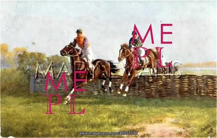 : JUMPING THE HURDLES 1912 : JUMPING THE HURDLES 1912