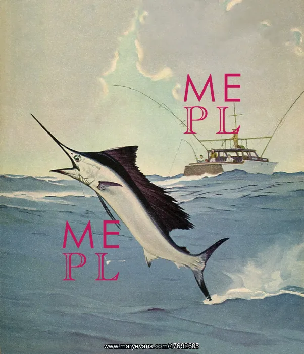  : Jumping Marlin