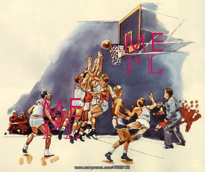 : Jumping for the Rebound : Jumping for the Rebound
