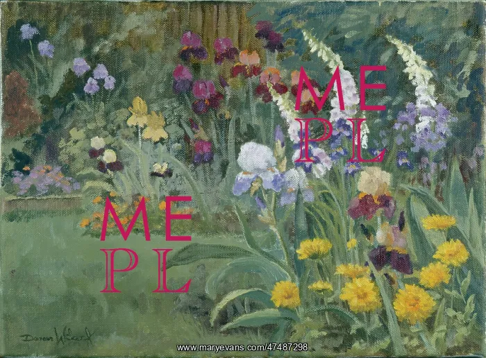 : June Border ' Garden with flower border : June Border ' Garden with flower border