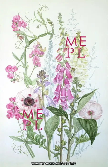: June Garden Collection : June Garden Collection