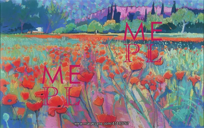  : June Meadow, Mallorca ' with Poppies