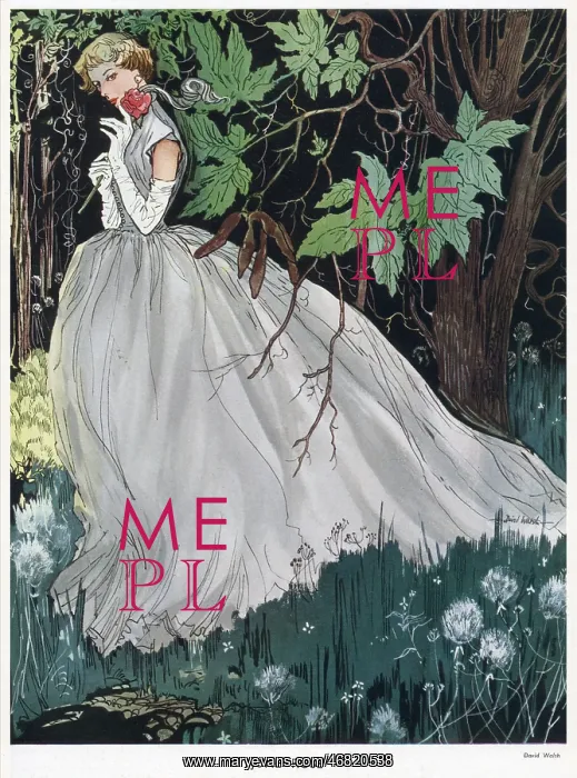: June Rose. A mysterious lady in a white gown pictured in a dark forest holding a red rose : June Rose. A mysterious lady in a white gown pictured in a dark forest holding a red rose