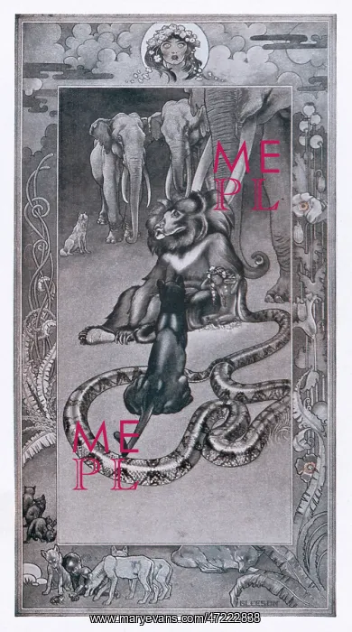 : JUNGLE BOOK / KIPLING : JUNGLE BOOK / KIPLING