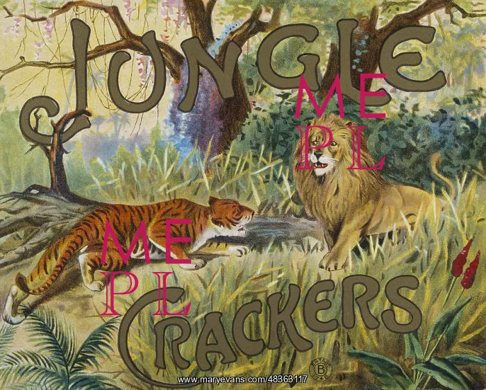 : Jungle Crackers box label design : Jungle Crackers box label design