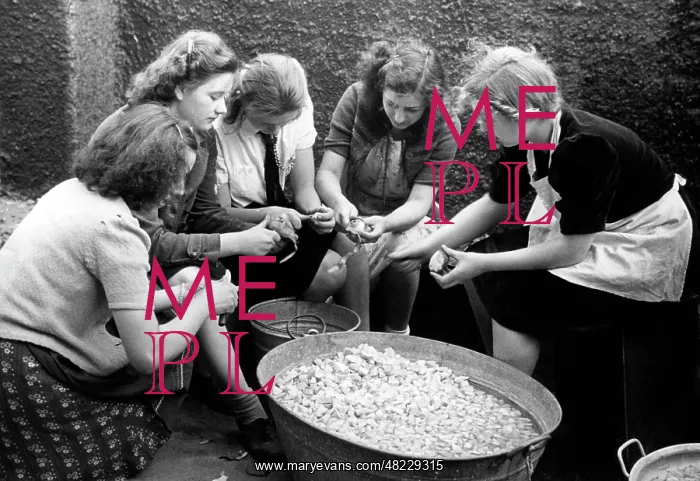 : Jungmaedel peeling potatoes, 1943 : Jungmaedel peeling potatoes, 1943