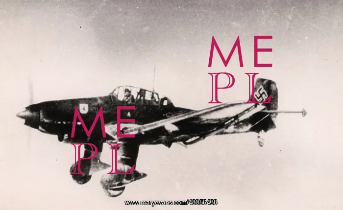 : Junker Ju87D in flight : Junker Ju87D in flight