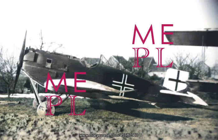 : Junkers D I German fighter plane : Junkers D I German fighter plane