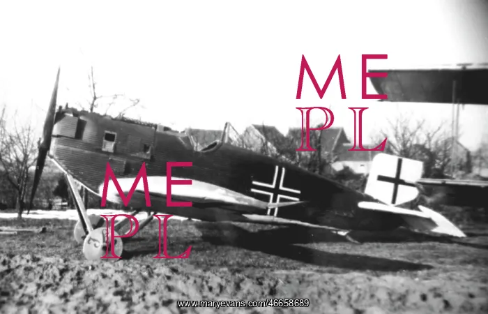 : Junkers D I German fighter plane : Junkers D I German fighter plane