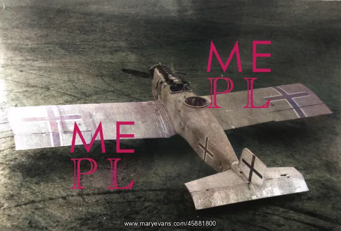  : Junkers J10 CLI aft, (on the ground)