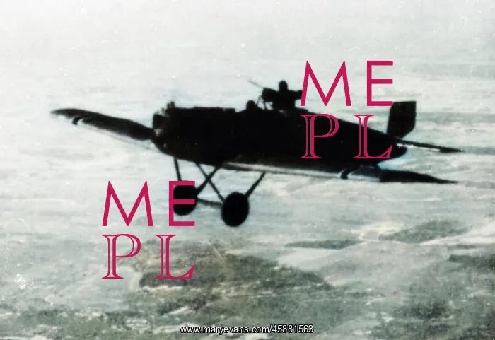 : Junkers J10 or CLI flying in Baltic region in 1919.? : Junkers J10 or CLI flying in Baltic region in 1919.?