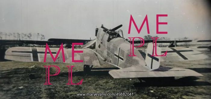  : Junkers J9 DI aft, (on the ground)