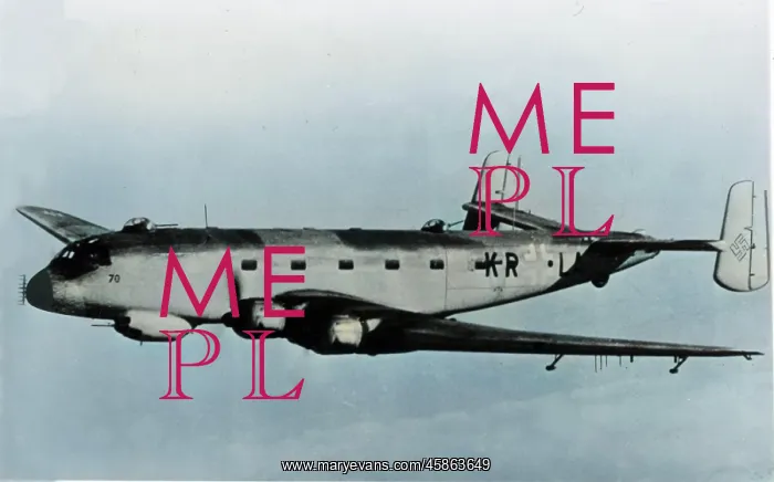  : Junkers Ju 290A-5 (forward view) aloft