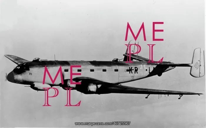  : Junkers Ju 290A-5 (forward view) aloft