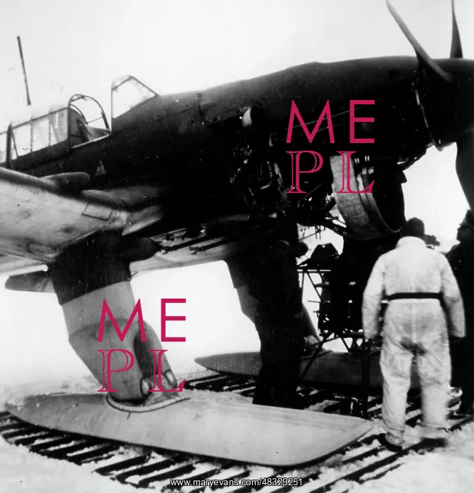 : Junkers Ju 87 of the German Luftwaffe - the Eastern Front : Junkers Ju 87 of the German Luftwaffe - the Eastern Front