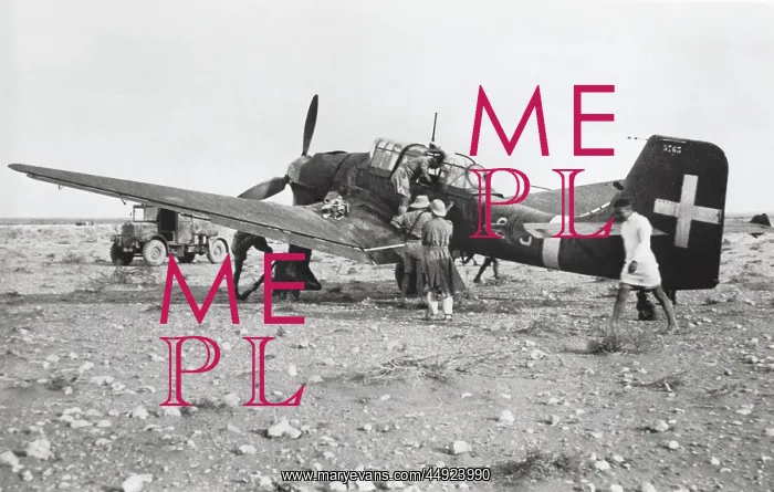 : Junkers Ju-87 Stuka : Junkers Ju-87 Stuka