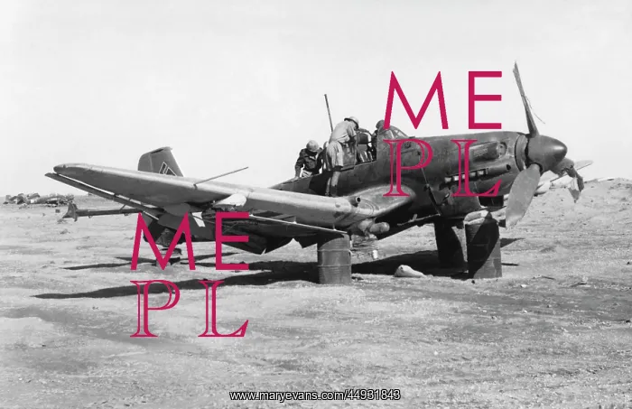 : Junkers Ju-87 Stuka : Junkers Ju-87 Stuka
