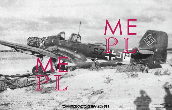: Junkers Ju-87 Stuka : Junkers Ju-87 Stuka