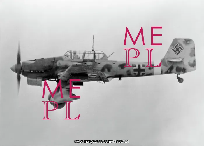 : Junkers Ju-87 Stuka : Junkers Ju-87 Stuka