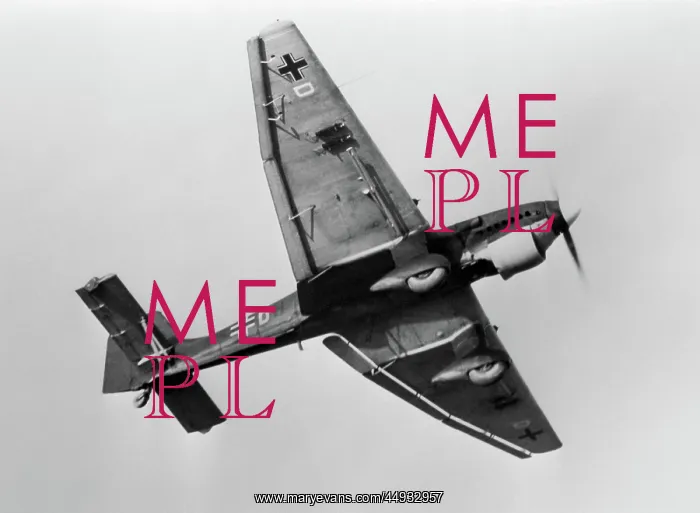 : Junkers Ju-87 Stuka : Junkers Ju-87 Stuka