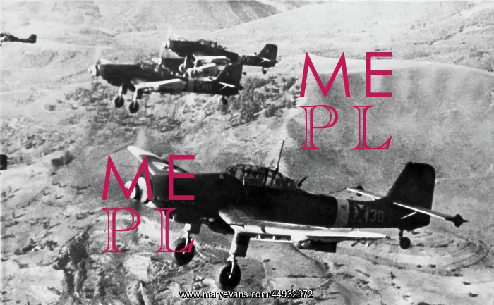 : Junkers Ju-87 Stuka : Junkers Ju-87 Stuka