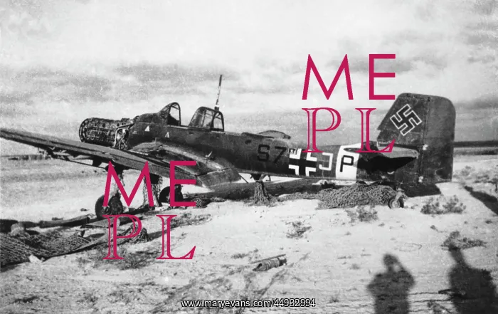 : Junkers Ju-87 Stuka : Junkers Ju-87 Stuka