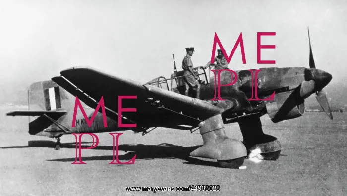 : Junkers Ju-87 Stuka : Junkers Ju-87 Stuka
