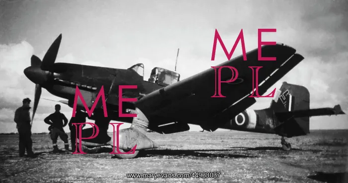 : Junkers Ju-87 Stuka : Junkers Ju-87 Stuka