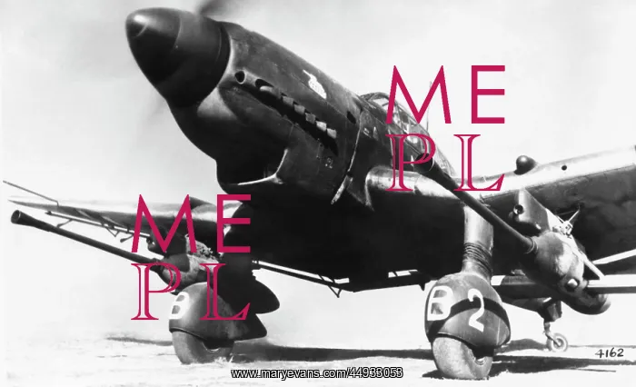 : Junkers Ju-87 Stuka : Junkers Ju-87 Stuka