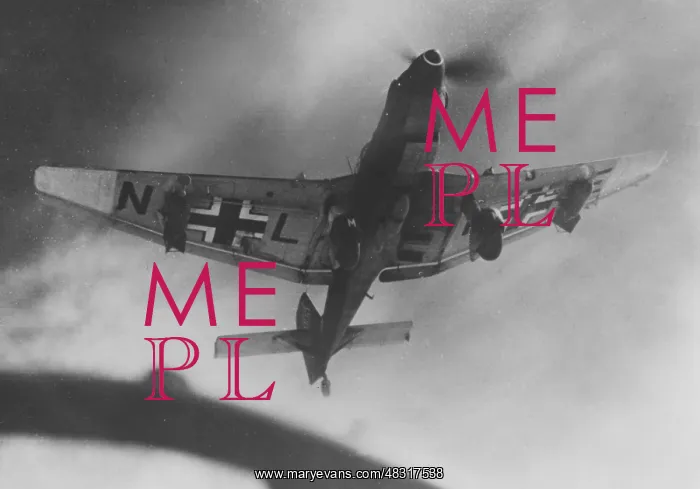 : Junkers Ju 87 Stuka : Junkers Ju 87 Stuka