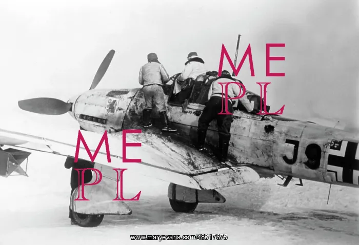 : Junkers Ju 87 Stuka - Eastern Front, 1942 : Junkers Ju 87 Stuka - Eastern Front, 1942
