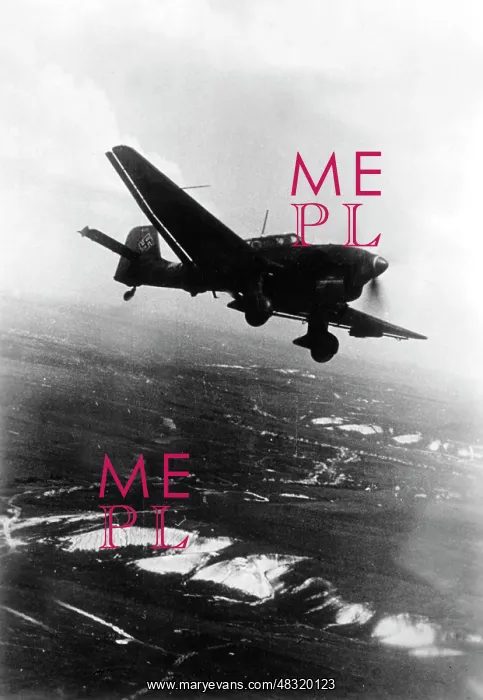 : Junkers Ju 87 Stuka - Eastern Front, 1942 : Junkers Ju 87 Stuka - Eastern Front, 1942