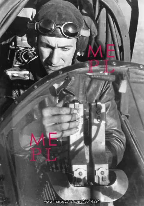 : Junkers Ju 87 Stuka - Eastern Front, 1943 : Junkers Ju 87 Stuka - Eastern Front, 1943