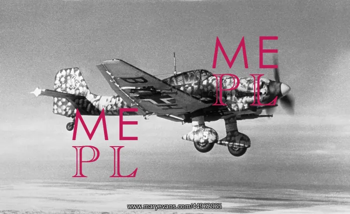 : Junkers Ju-87D-1 Stuka : Junkers Ju-87D-1 Stuka