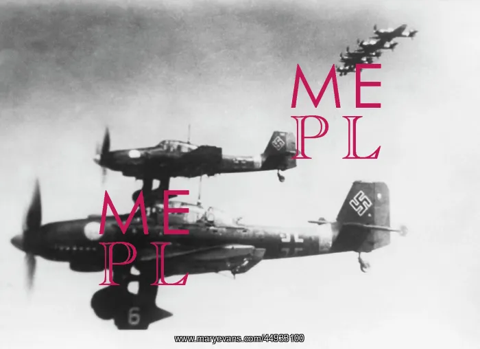 : Junkers Ju-87D-1 Stuka : Junkers Ju-87D-1 Stuka