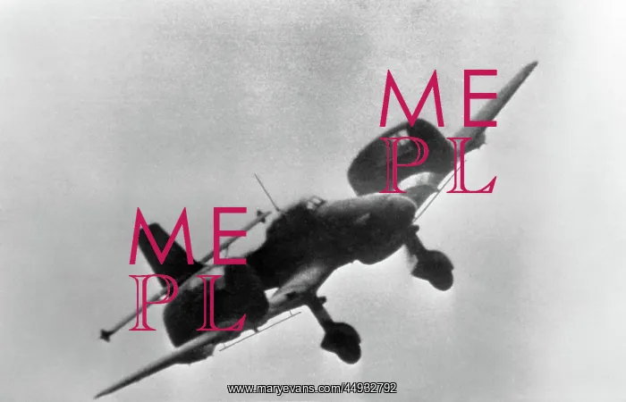 : Junkers Ju-87D-3 Stuka : Junkers Ju-87D-3 Stuka