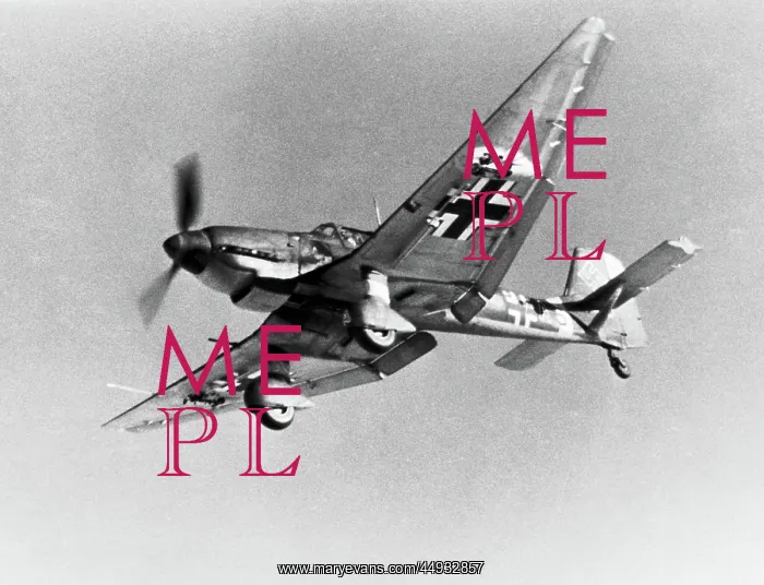 : Junkers Ju-87D Stuka : Junkers Ju-87D Stuka