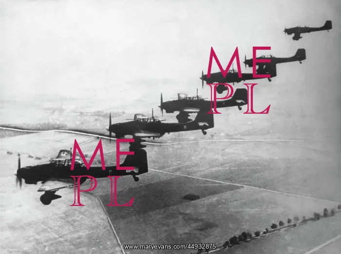 : Junkers Ju-87D Stuka : Junkers Ju-87D Stuka
