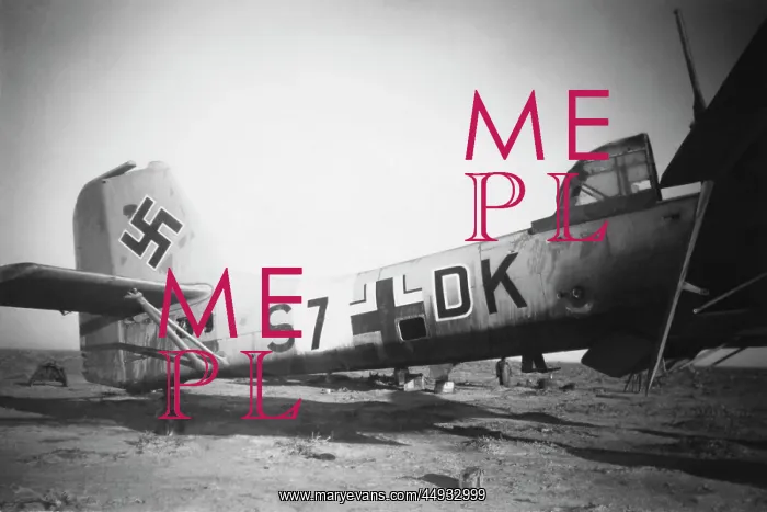 : Junkers Ju-87D Stuka : Junkers Ju-87D Stuka