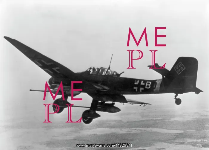 : Junkers Ju-87G-1 Stuka : Junkers Ju-87G-1 Stuka
